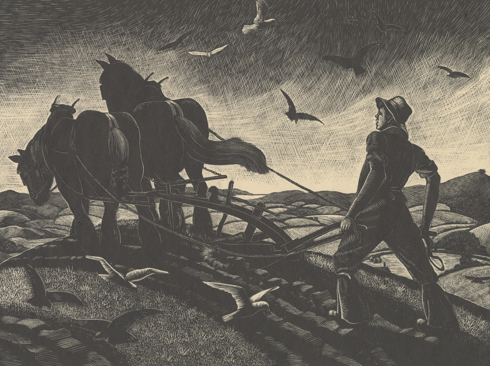 Ploughing