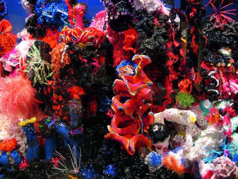 QisDESIGN キスデザイン Coral Reef コーラルリーフ 32万 Crochet Coral Reef: By Margaret and Christine Wertheim and the