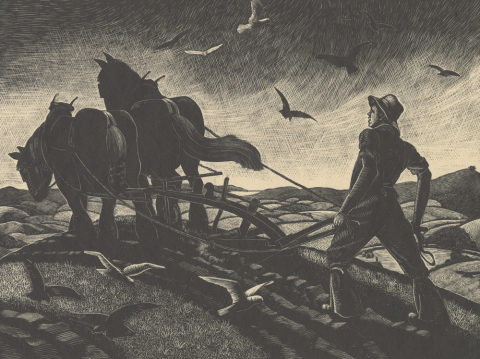 Ploughing