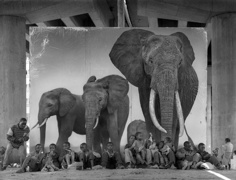 Nick Brandt. Homeless Kids With Elephants, from the series Inherit the Dust. 2015 (Printed 2020). Archival pigment print. 5/8. On loan from Meg '80 and Bennett Goodman.